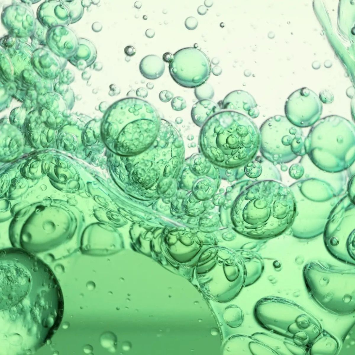 2-Phase Aloe Vera Shake