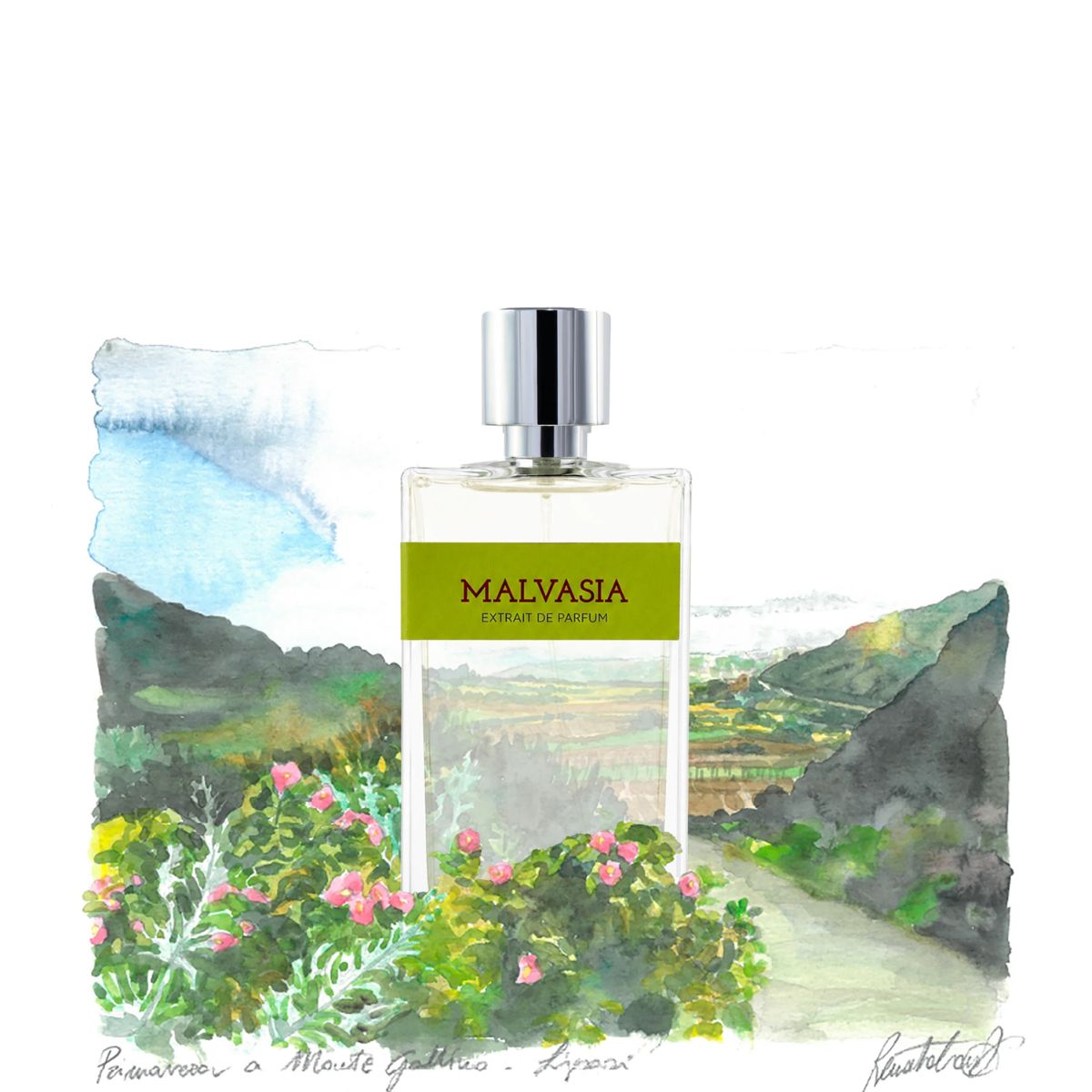 Malvasia