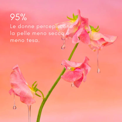 Sweet Sunday - Olio Corpo